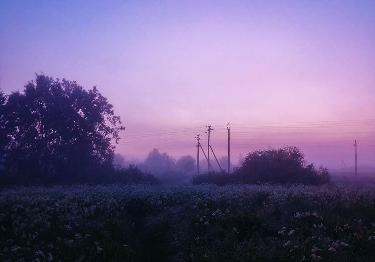 华体会下载：开启体育世界的智能入口